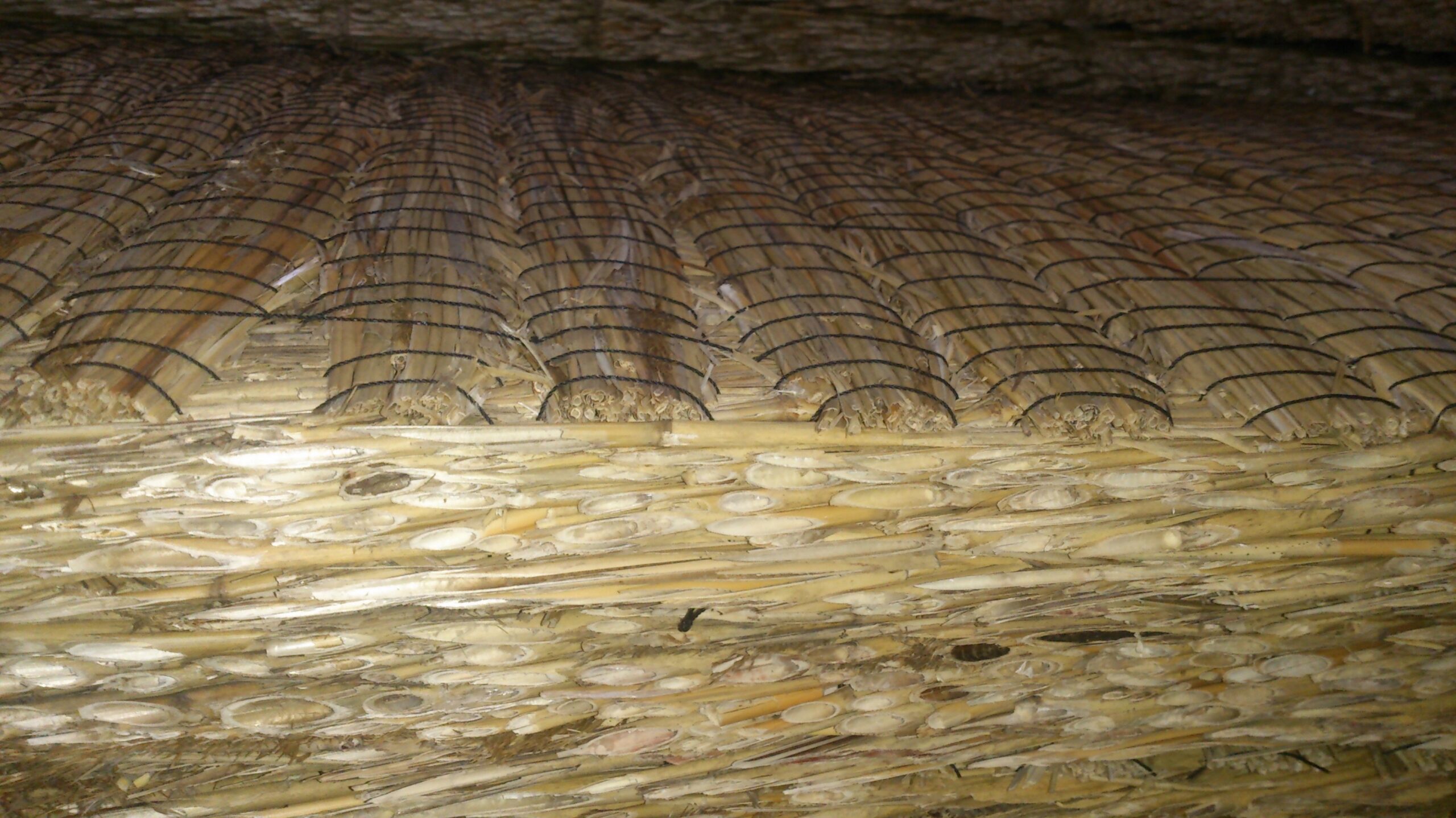 rooplaat lähivaates